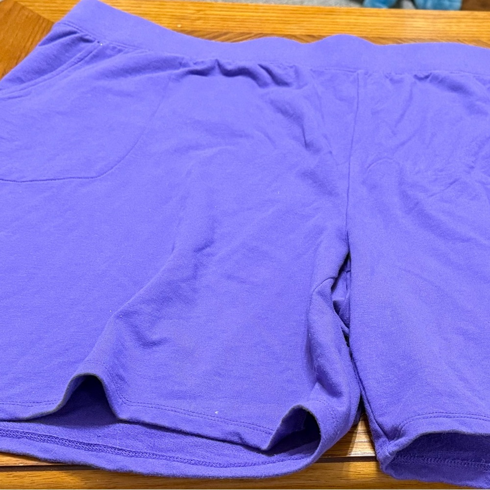 Sports Savvy Women’s Shorts Light Purple 3X